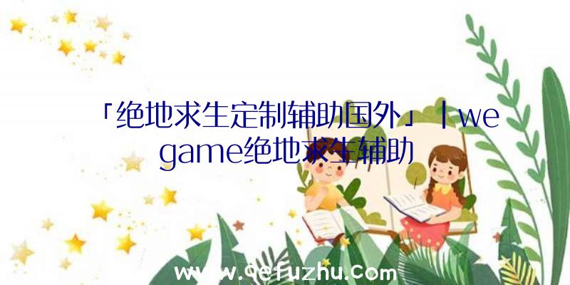 「绝地求生定制辅助国外」|wegame绝地求生辅助